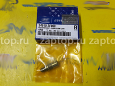 24610-2E000 Гидрокомпенсатор оригинал Sportage | Hyundai ix35